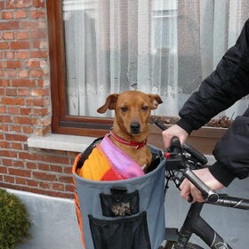 geregeld gaan we ook op stap met de fiets naar het stadspark…