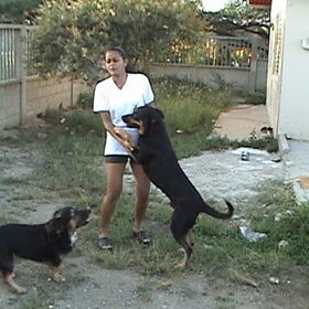 Jogie & Dino