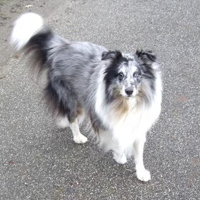 Onze mooie Ush!