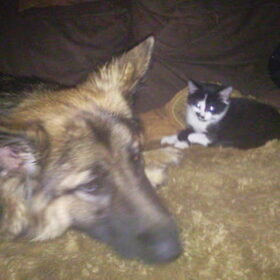 Hondenfoto van ~~Michelle&Mushu~~