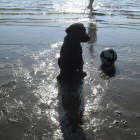 De eerste keer op het strand, hier heb ik net gezwommen... Ik…