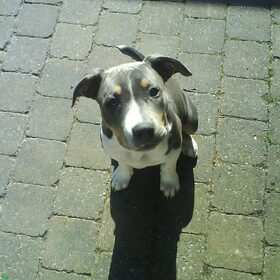 mn knappe ventje..