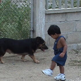 Taj & Jogie