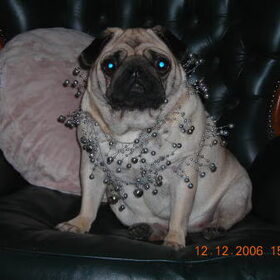 Kerst 2006