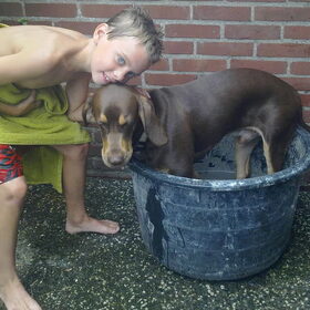 Hondenfoto van Juut & Brownie 