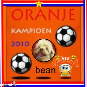 nou wij gaan er voor toch