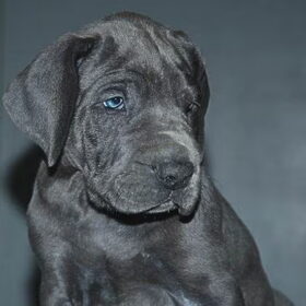 m'n kleine ZEUS !!