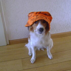 Oranje boven....leve de koningin!!!