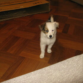 Floortje!!