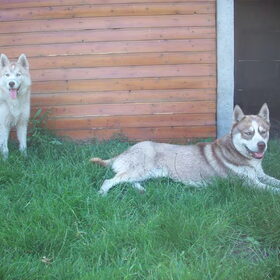 Noa & Lex