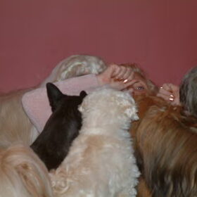 Wij willen ook