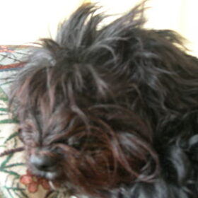 Sleepy time!
