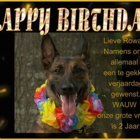Hondenfoto van De Mecheltjes clan