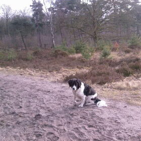 Hondenfoto van Liesbeth