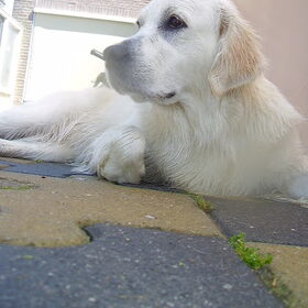 koppie lekker nat, want ik had het zooo warm..