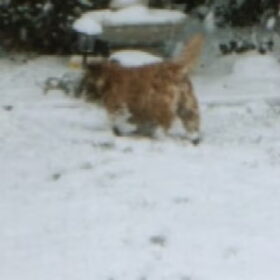 mijn eerste sneeuwervaring dat was in 2006