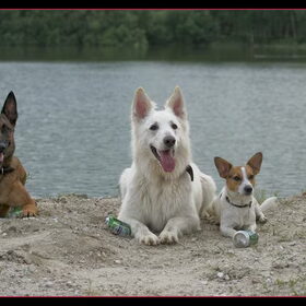 Hondenfoto van Hetty & Skipper
