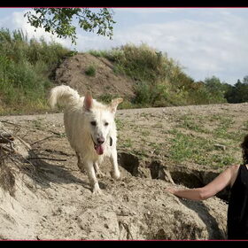 Hondenfoto van Hetty & Skipper
