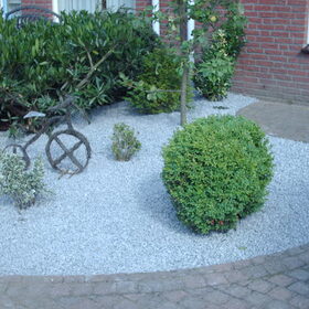 Hondenfoto van liesbeth,Turbo,Luna, Levi en Faith