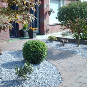 Hondenfoto van liesbeth,Turbo,Luna, Levi en Faith
