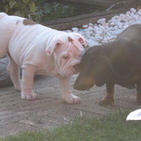 Max en Lou x