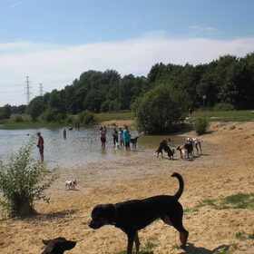 druk hoor hier wel gezellig