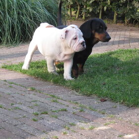 Max & Lou are good friends