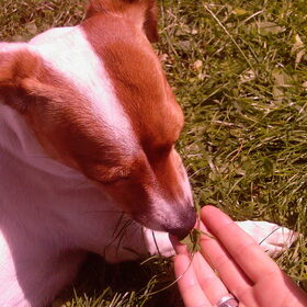hmmmmm gras!
