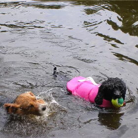 Lekker spelen in het water met een vriendje.