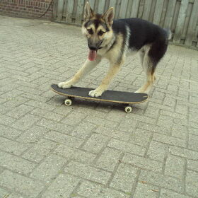 skateeennn!