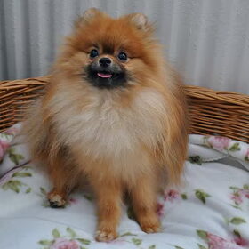 Onze mooierddd! :D
