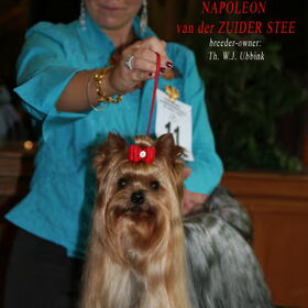 Napoleon ,s Greatly loved by his handler Priscilla