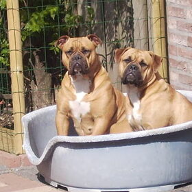 2 van mijn meisjes.