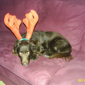 december 2004