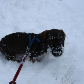 Voor het eerst in de sneeuw!