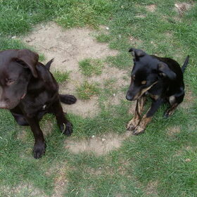 Romi en Pixie