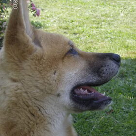 Mooi poseren...