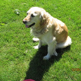 Puckie op 't terras