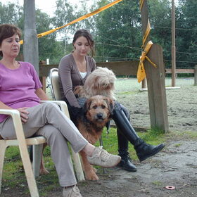 Hondenfoto van liesbeth,Turbo,Luna, Levi en Faith
