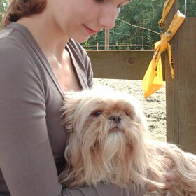Hondenfoto van liesbeth,Turbo,Luna, Levi en Faith