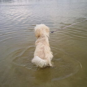 laatste blik op het water