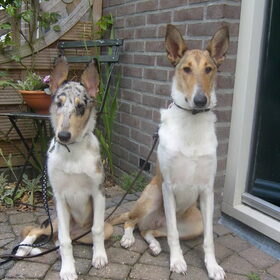 Blue 4 Maanden & Sandy 9,5M