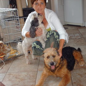 Hondenfoto van liesbeth,Turbo,Luna, Levi en Faith