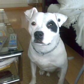 paco en nelson.. (2)