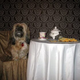 Domingo aan tafel