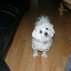 lieve Funny