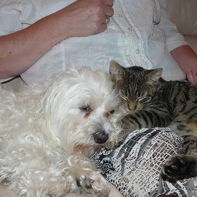 Boris en Sofie