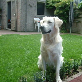 Ja hoor midden in de plantjes!