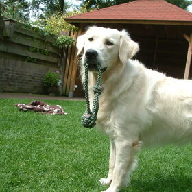 Hou op met foto's maken, SPELEN!!!