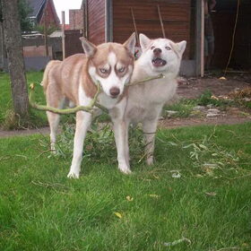 Lex&Noa